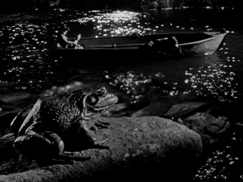 crapaud